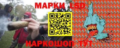 гидропоника Будённовск