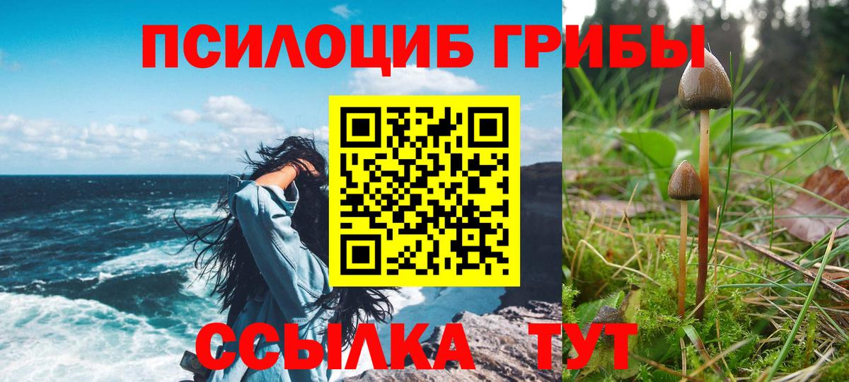 Электрогорск  Галлюциногенные грибы GOLDEN TEACHER  Вход с VPN 